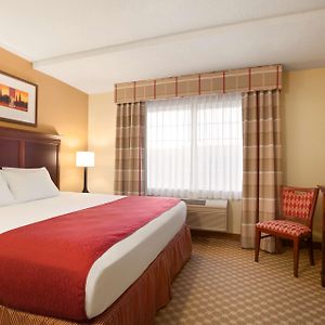 One-Bedroom King Suite